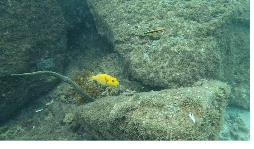 Coiba Island Tour