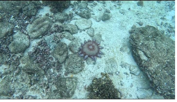 Coiba Island Tour