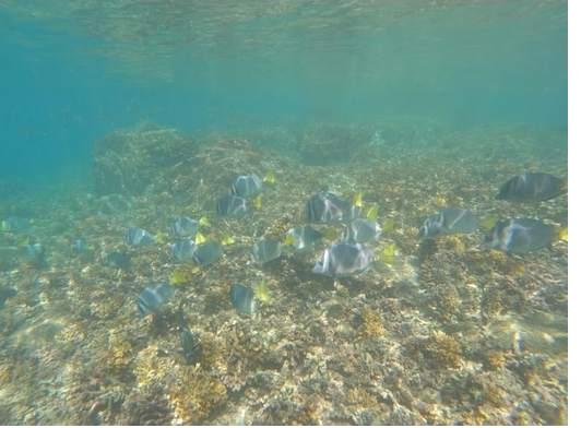 How to visit Coiba National Park — complete guide