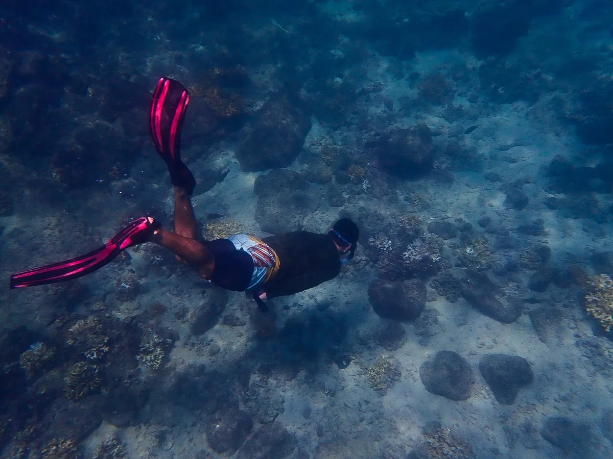 Our guide free-diving over the reef in Coiba