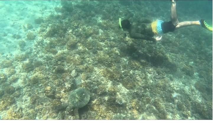 Snorkeler exploring the reef in Coiba National Park, Panama
