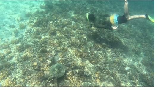 What to Pack for a Coiba Tour