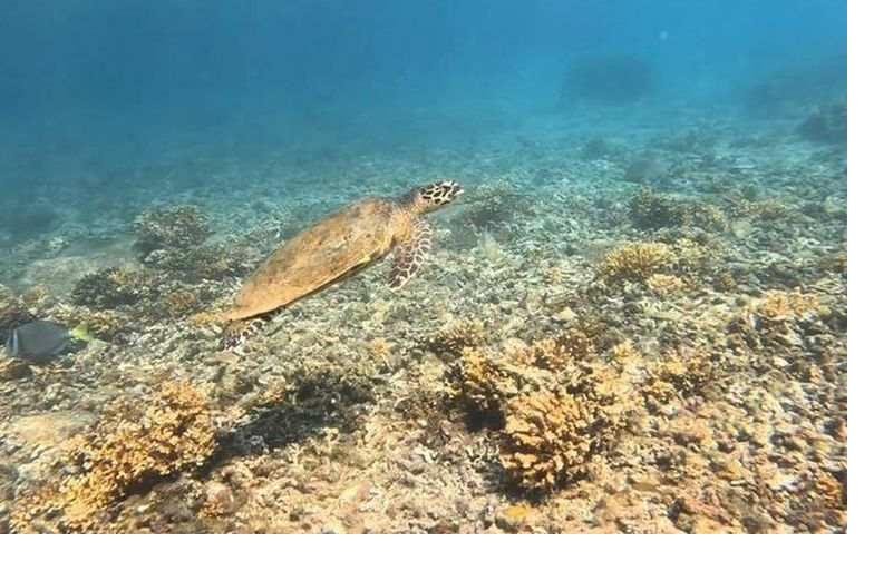 Why Visit Panama and Why Coiba Should Be the Highlight
